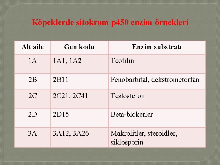 Köpeklerde sitokrom p 450 enzim örnekleri Alt aile Gen kodu Enzim substratı 1 A