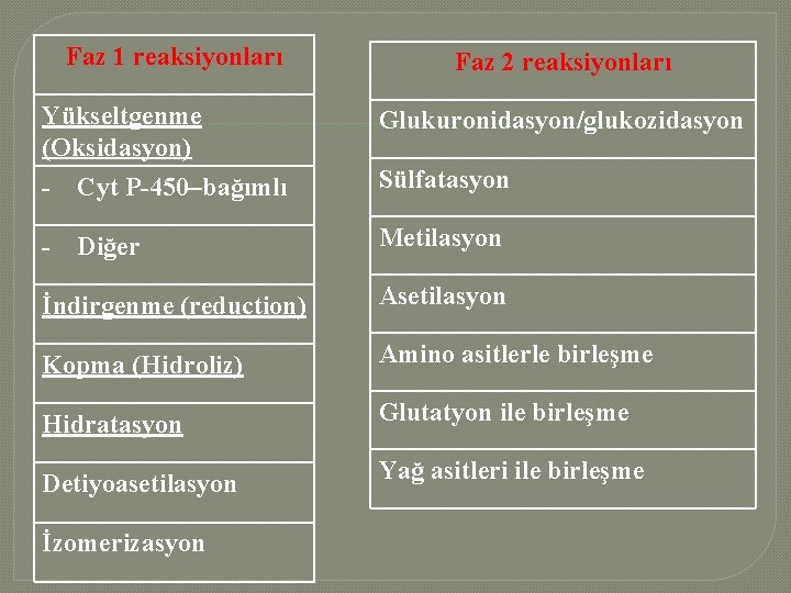 Faz 1 reaksiyonları Faz 2 reaksiyonları Yükseltgenme (Oksidasyon) Glukuronidasyon/glukozidasyon - Cyt P-450–bağımlı Sülfatasyon -