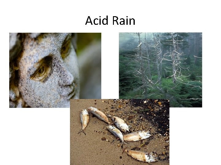 Acid Rain 