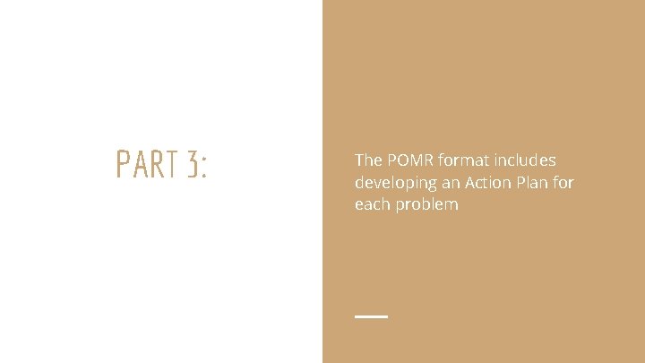 PART 3: The POMR format includes developing an Action Plan for each problem 