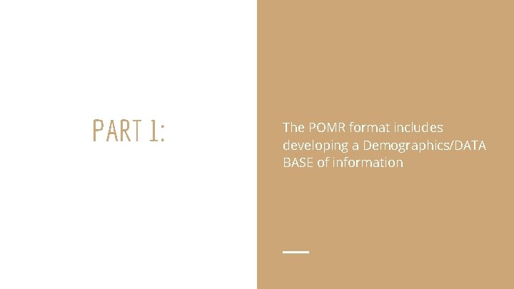 PART 1: The POMR format includes developing a Demographics/DATA BASE of information 