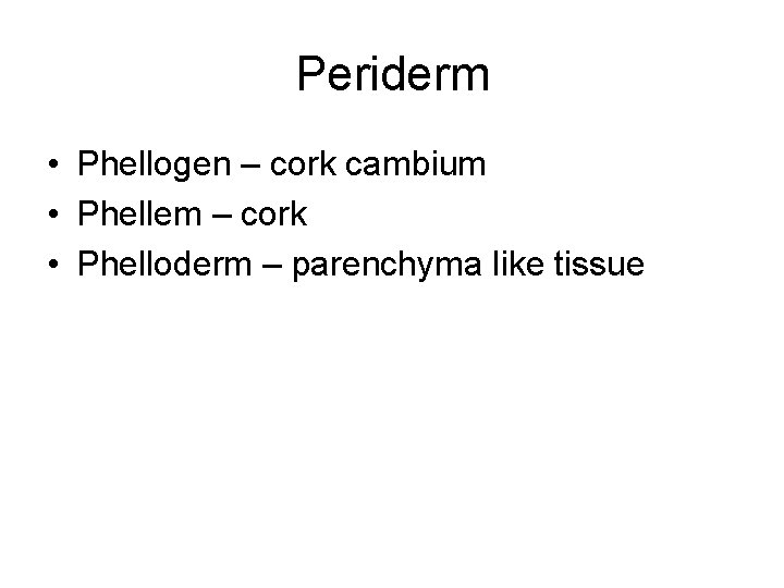 Periderm • Phellogen – cork cambium • Phellem – cork • Phelloderm – parenchyma