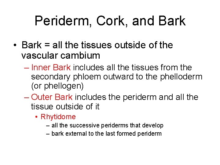 Periderm, Cork, and Bark • Bark = all the tissues outside of the vascular