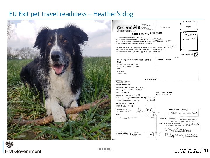  EU Exit pet travel readiness – Heather’s dog OFFICIAL Border Delivery Group Industry