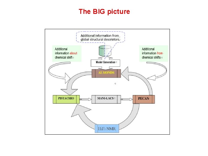 The BIG picture NMR data collection chemical shift assignments structure calculation 