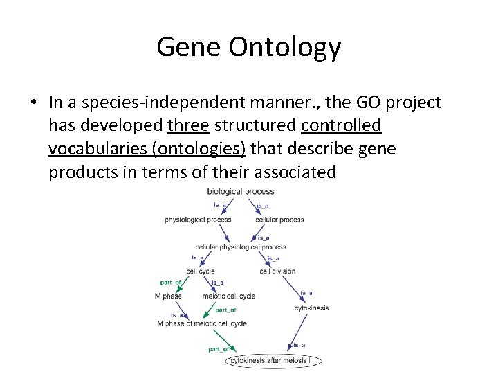 Gene Ontology • In a species-independent manner. , the GO project has developed three