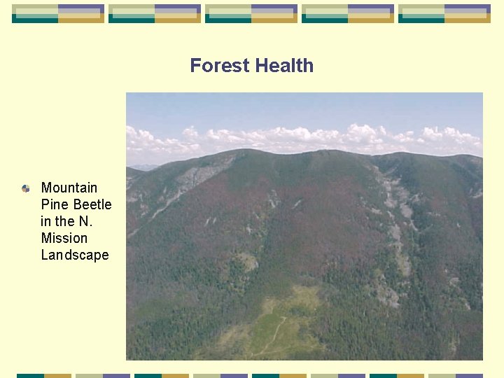 Forest Health Mountain Pine Beetle in the N. Mission Landscape 