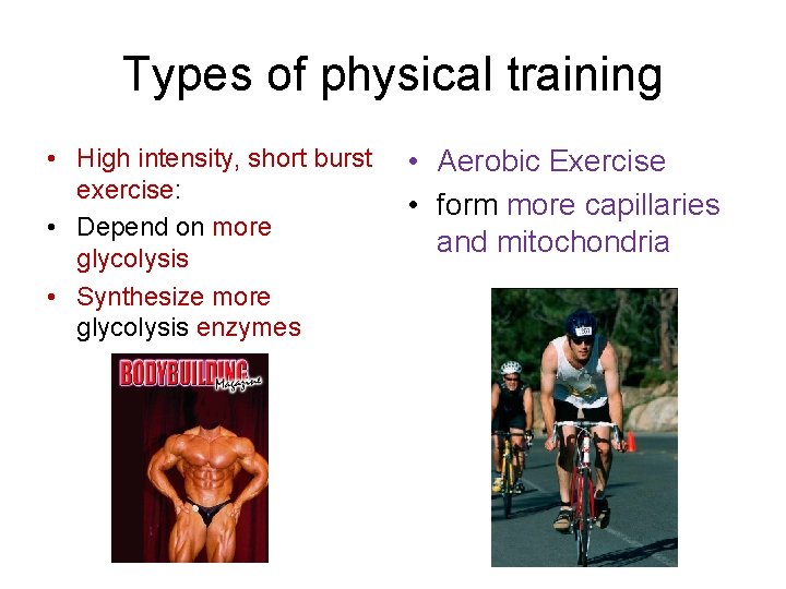 Types of physical training • High intensity, short burst exercise: • Depend on more