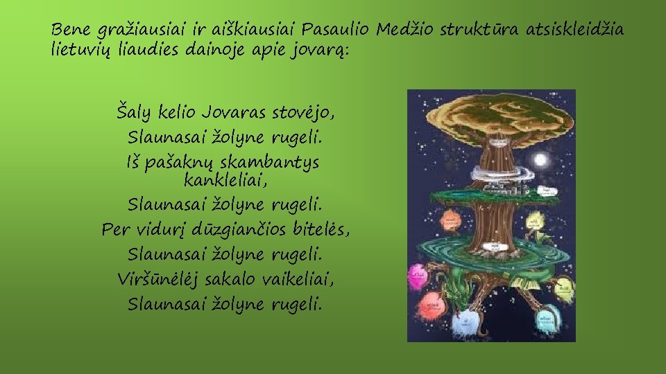 Bene gražiausiai ir aiškiausiai Pasaulio Medžio struktūra atsiskleidžia lietuvių liaudies dainoje apie jovarą: Šaly