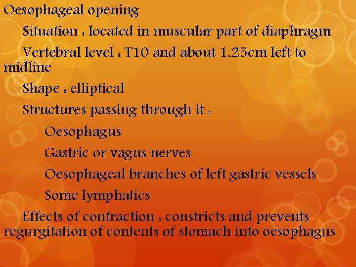 Oesophageal opening Situation : located in muscular part of diaphragm Vertebral level : T