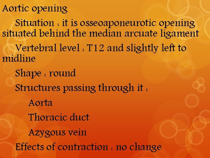 Aortic opening Situation : it is osseoaponeurotic opening situated behind the median arcuate ligament