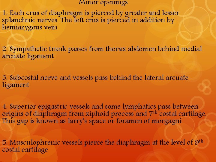 Minor openings 1. Each crus of diaphragm is pierced by greater and lesser splanchnic
