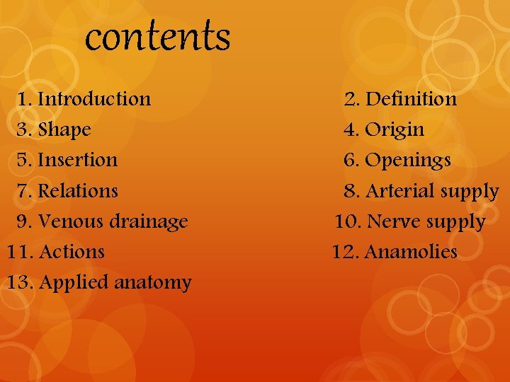contents 1. Introduction 3. Shape 5. Insertion 7. Relations 9. Venous drainage 11. Actions