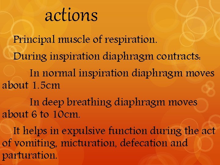 actions Principal muscle of respiration. During inspiration diaphragm contracts: In normal inspiration diaphragm moves