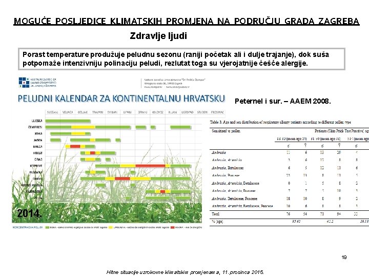 MOGUĆE POSLJEDICE KLIMATSKIH PROMJENA NA PODRUČJU GRADA ZAGREBA Zdravlje ljudi Porast temperature produžuje peludnu