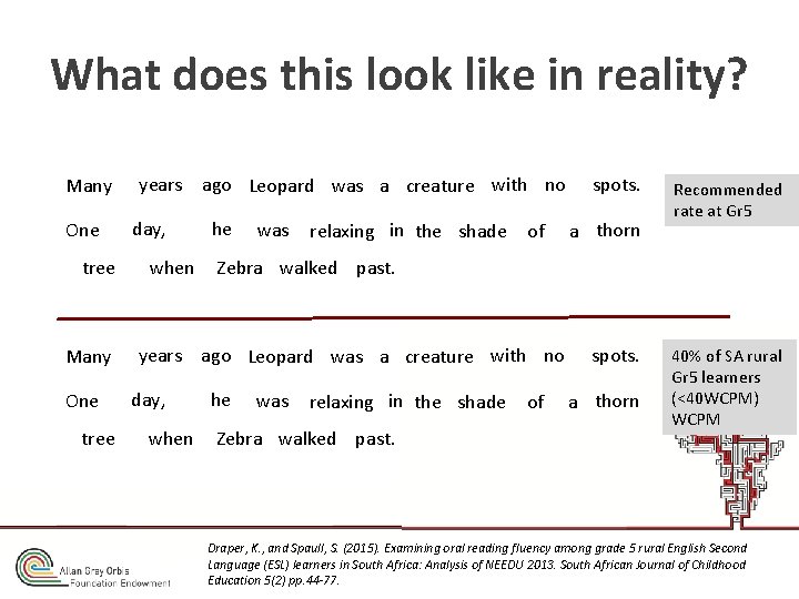 What does this look like in reality? Many One tree years ago Leopard was