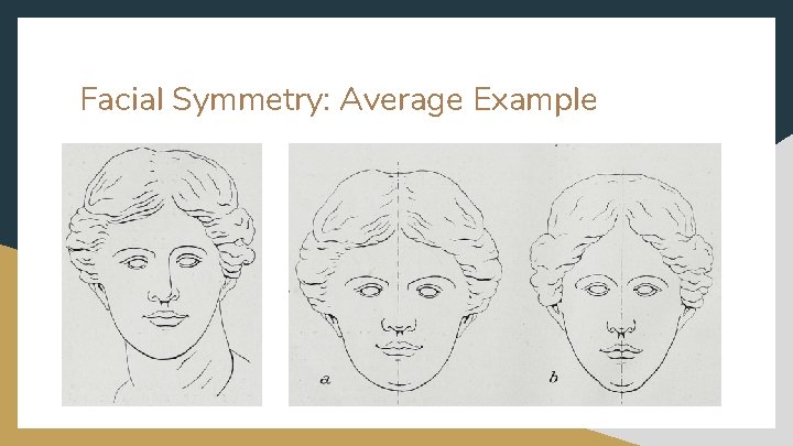 Facial Symmetry: Average Example 