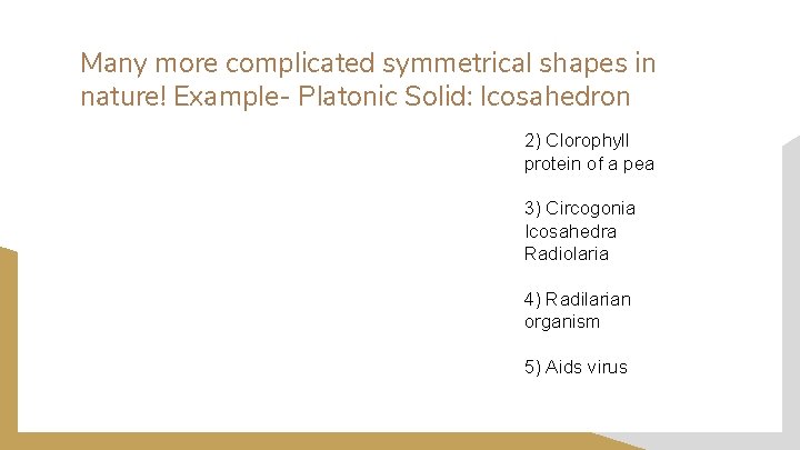 Many more complicated symmetrical shapes in nature! Example- Platonic Solid: Icosahedron 2) Clorophyll protein