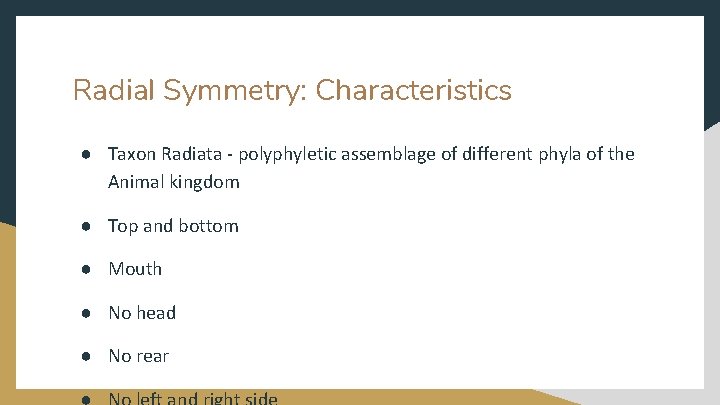 Radial Symmetry: Characteristics ● Taxon Radiata - polyphyletic assemblage of different phyla of the