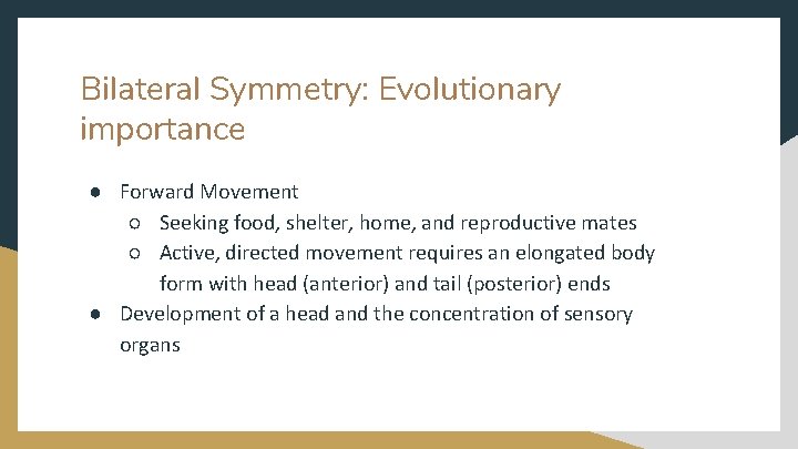 Bilateral Symmetry: Evolutionary importance ● Forward Movement ○ Seeking food, shelter, home, and reproductive