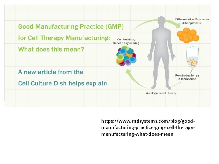 https: //www. rndsystems. com/blog/goodmanufacturing-practice-gmp-cell-therapymanufacturing-what-does-mean 