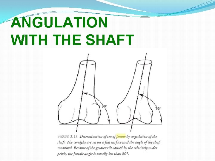 ANGULATION WITH THE SHAFT 