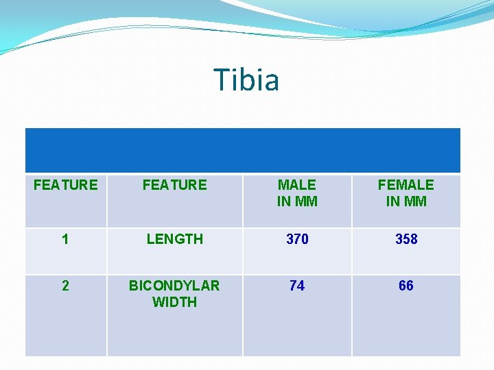 Tibia FEATURE MALE IN MM FEMALE IN MM 1 LENGTH 370 358 2 BICONDYLAR