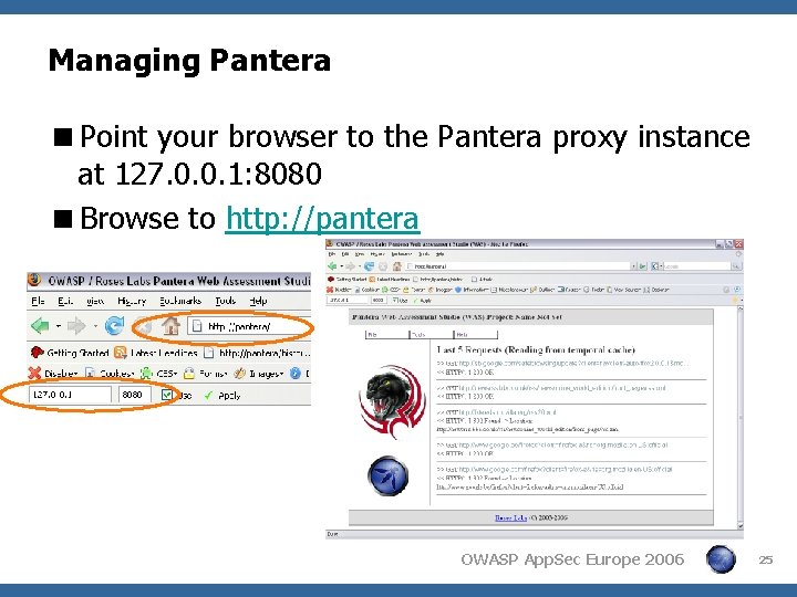 Managing Pantera <Point your browser to the Pantera proxy instance at 127. 0. 0.
