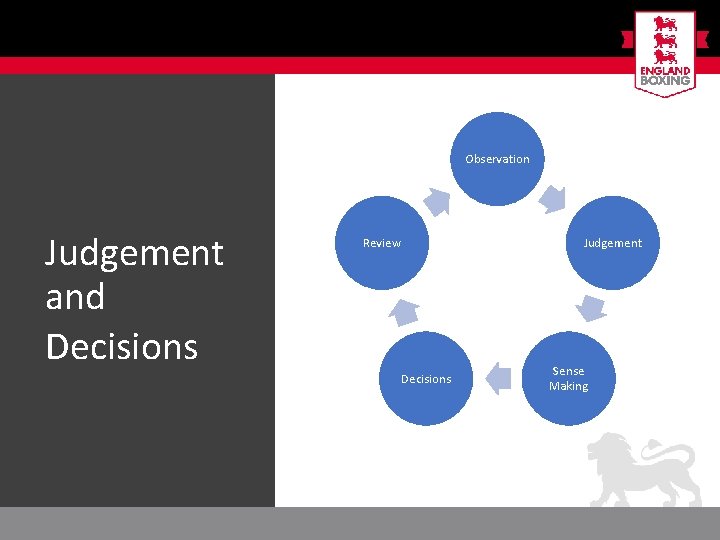 Observation Judgement and Decisions Review Judgement Decisions Sense Making 