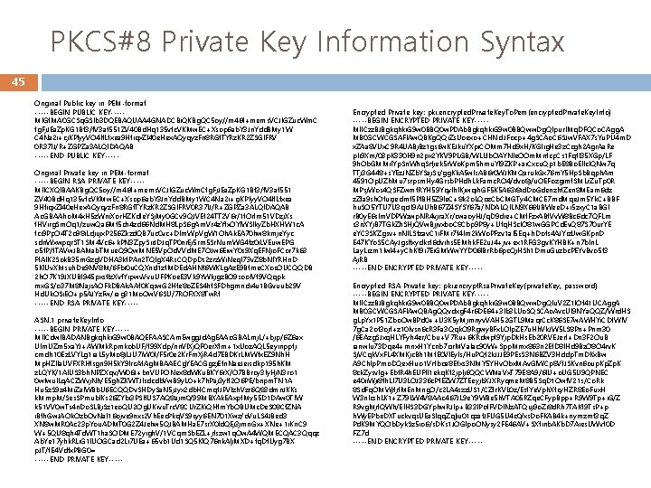 PKCS#8 Private Key Information Syntax 45 Original Public key in PEM-format -----BEGIN PUBLIC KEY----MIGf.