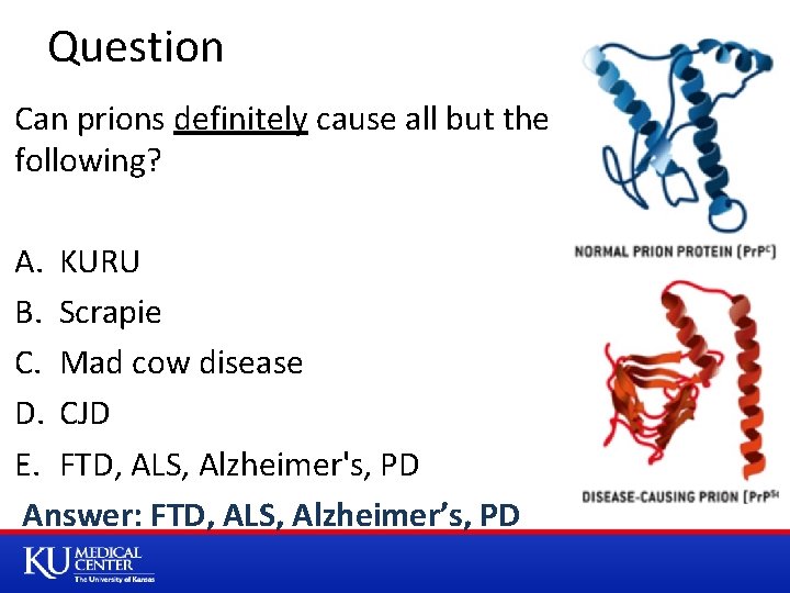 Question Can prions definitely cause all but the following? A. KURU B. Scrapie C.