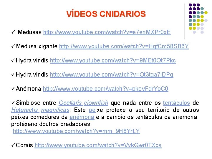 VÍDEOS CNIDARIOS ü Medusas http: //www. youtube. com/watch? v=e 7 en. MXPr 0 x.