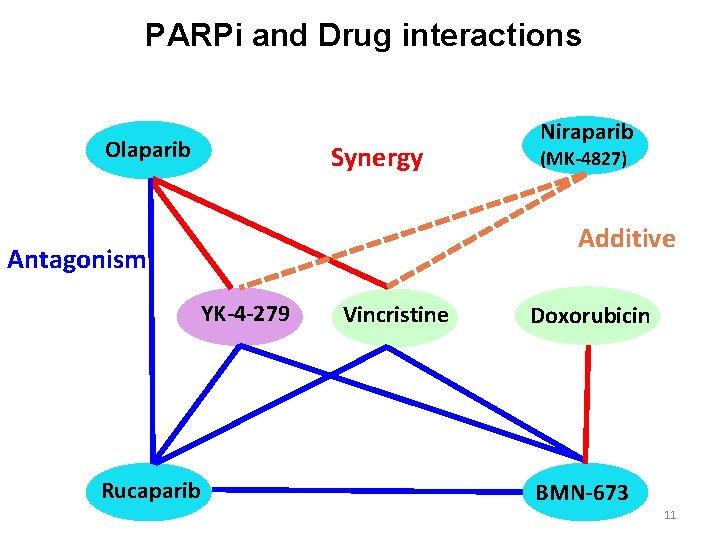 PARPi and Drug interactions Olaparib Synergy Niraparib (MK-4827) Additive Antagonism YK-4 -279 Rucaparib Vincristine