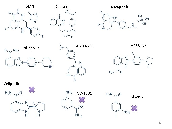 BMN Niraparib Olaparib Rucaparib AG-14361 A 966492 Veliparib INO-1001 Iniparib 16 