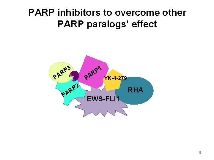 PARP inhibitors to overcome other PARP paralogs’ effect 3 P R PA 1 P