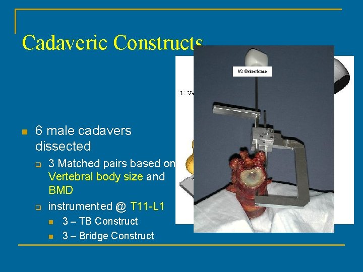 Cadaveric Constructs #2 Osteotome n 6 male cadavers dissected q q 3 Matched pairs