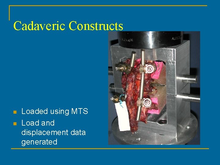 Cadaveric Constructs n n Loaded using MTS Load and displacement data generated 
