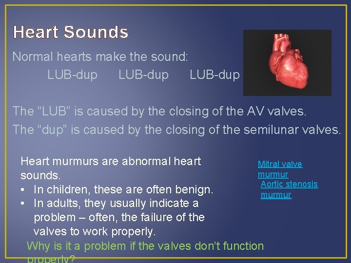 Heart Sounds Normal hearts make the sound: LUB-dup The “LUB” is caused by the
