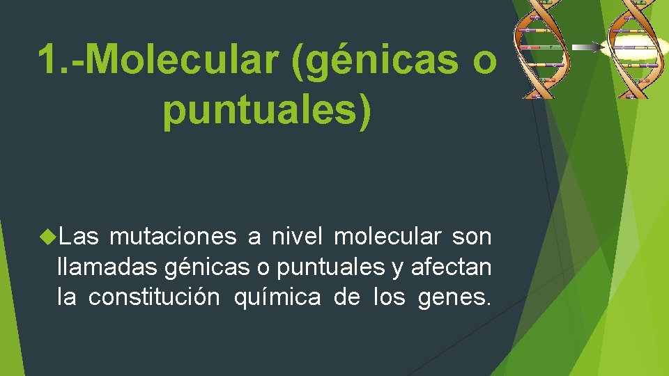 1. -Molecular (génicas o puntuales) Las mutaciones a nivel molecular son llamadas génicas o