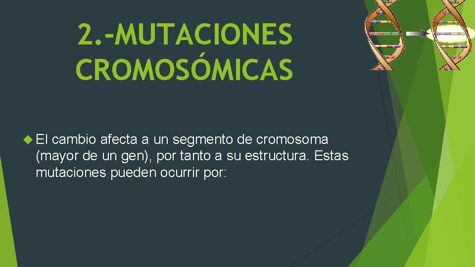 2. -MUTACIONES CROMOSÓMICAS El cambio afecta a un segmento de cromosoma (mayor de un