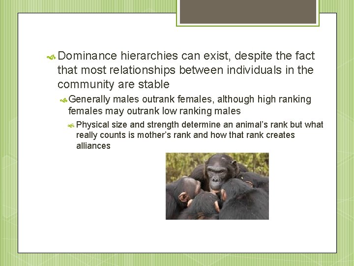  Dominance hierarchies can exist, despite the fact that most relationships between individuals in