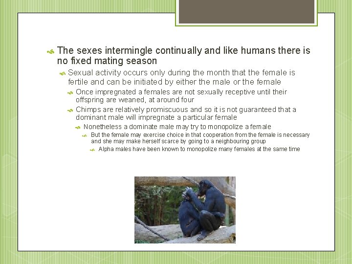  The sexes intermingle continually and like humans there is no fixed mating season