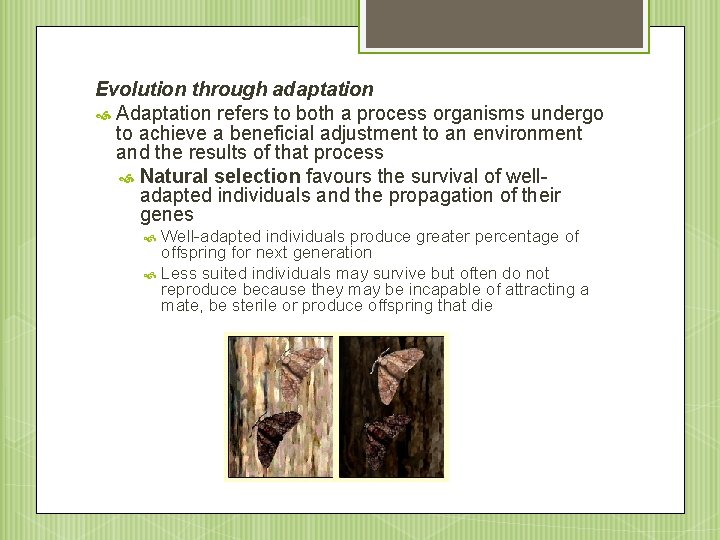 Evolution through adaptation Adaptation refers to both a process organisms undergo to achieve a
