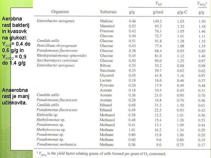 Aerobna rast bakterij in kvasovk na glukozi: YX/S= 0, 4 do 0, 6 g/g