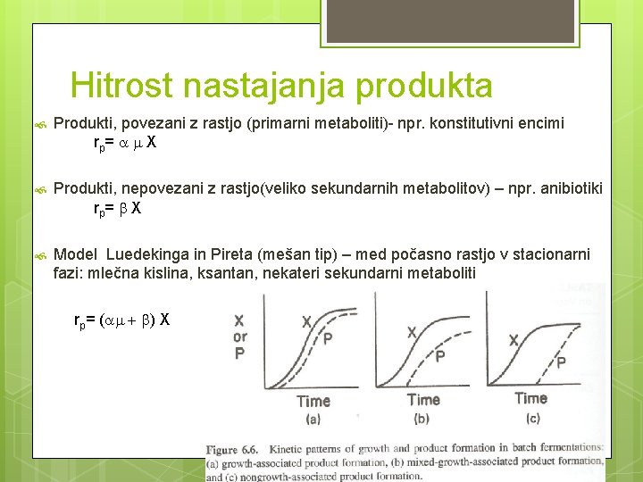 Hitrost nastajanja produkta Produkti, povezani z rastjo (primarni metaboliti)- npr. konstitutivni encimi rp= a