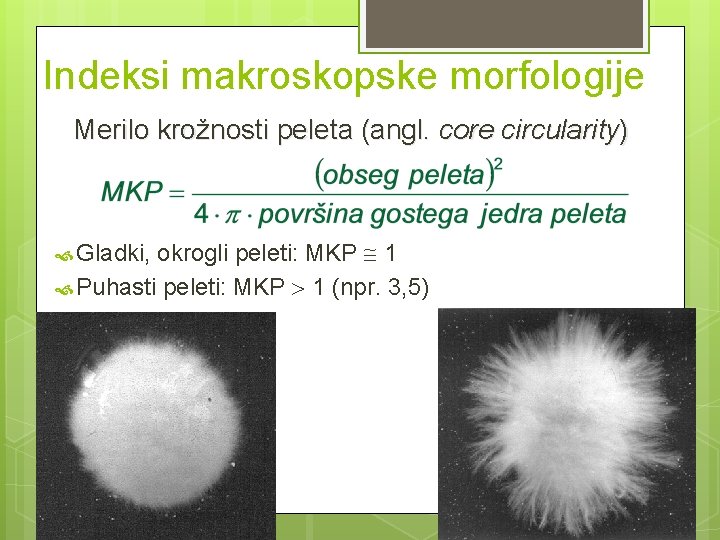 Indeksi makroskopske morfologije Merilo krožnosti peleta (angl. core circularity) Gladki, okrogli peleti: MKP 1