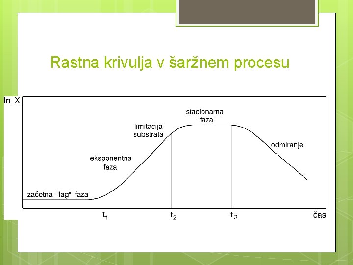 Rastna krivulja v šaržnem procesu 