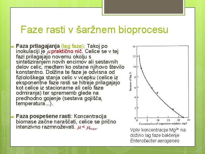 Faze rasti v šaržnem bioprocesu Faza prilagajanja (lag faza): Takoj po inokulaciji je praktično