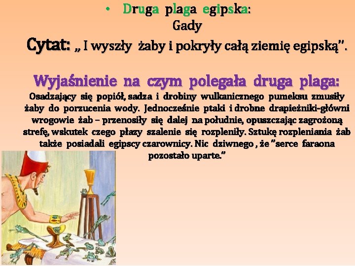  • D r u ga p l a ga e gi ps k