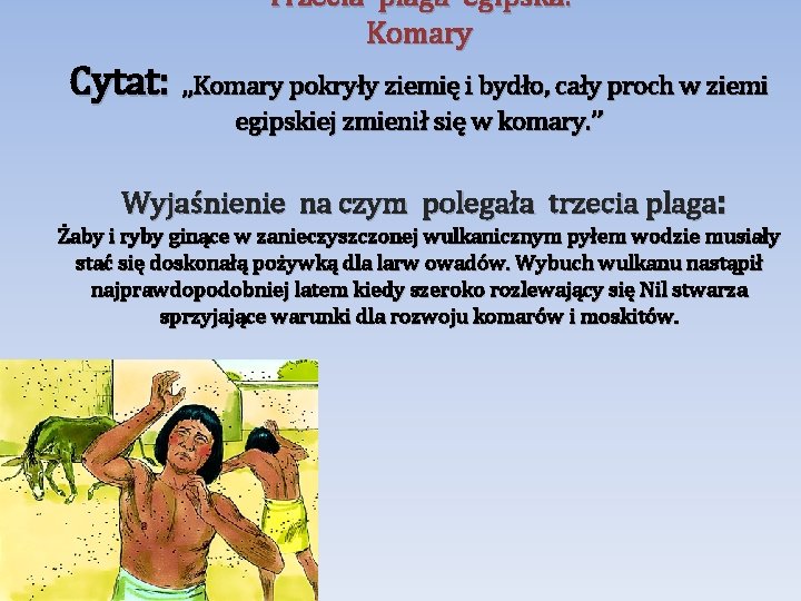  • Trzecia plaga egipska: Komary Cytat: , , Komary pokryły ziemię i bydło,